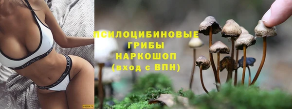 МДПВ Киренск