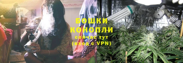 гашик Карталы