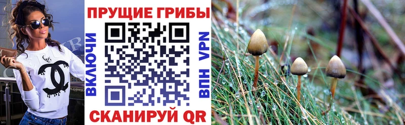 Псилоцибиновые грибы мухоморы  blacksprut ONION  Калач-на-Дону 